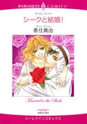 秘書ヒロインセット vol.6 キャロル・グレイス/レイ・モーガン/リー・ウィルキンソン/テレサ・サウスウィック/香住真由/アリスン/尾方琳/森崎令子/文月今日子