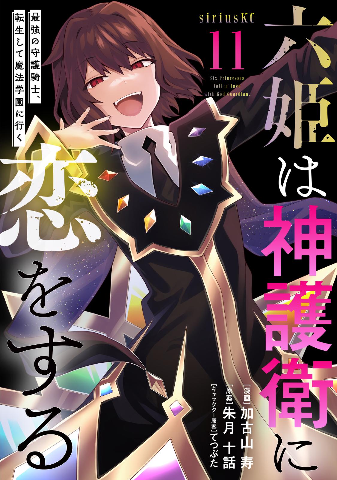 六姫は神護衛に恋をする　～最強の守護騎士、転生して魔法学園に行く～（11）