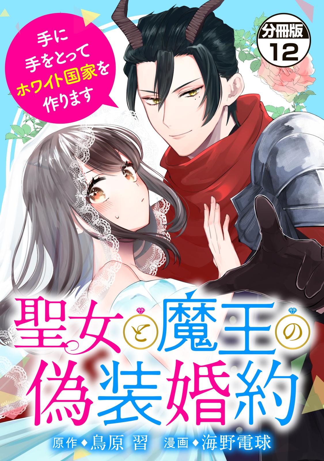 聖女と魔王の偽装婚約～手に手をとってホワイト国家を作ります～　分冊版（12）