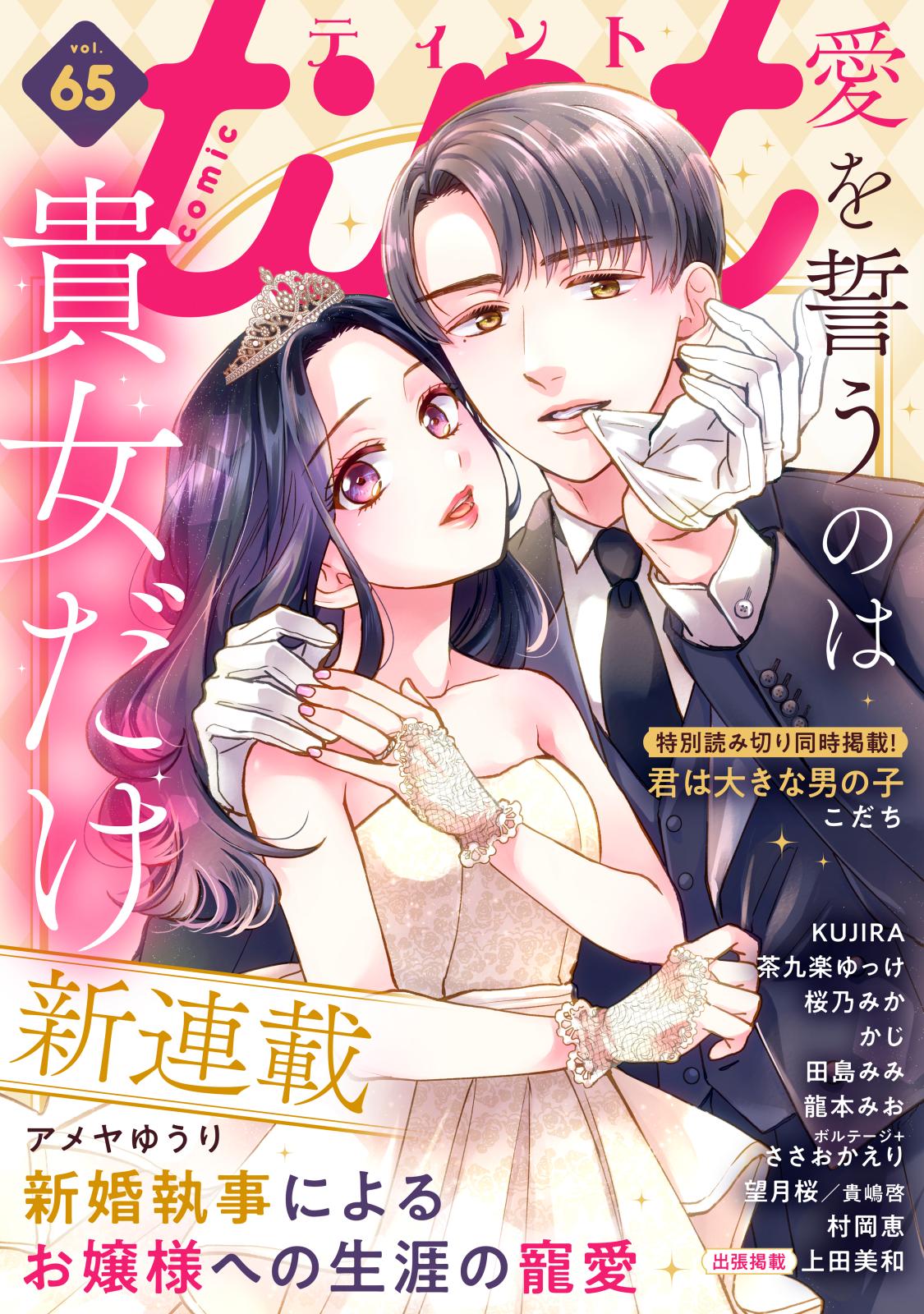 ｃｏｍｉｃ　ｔｉｎｔ　vol.65