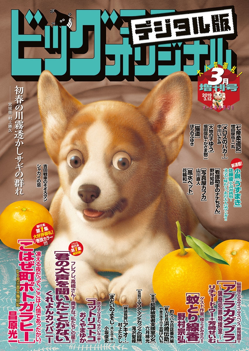 ビッグコミックオリジナル増刊　2019年3月増刊号（2019年2月12日発売）