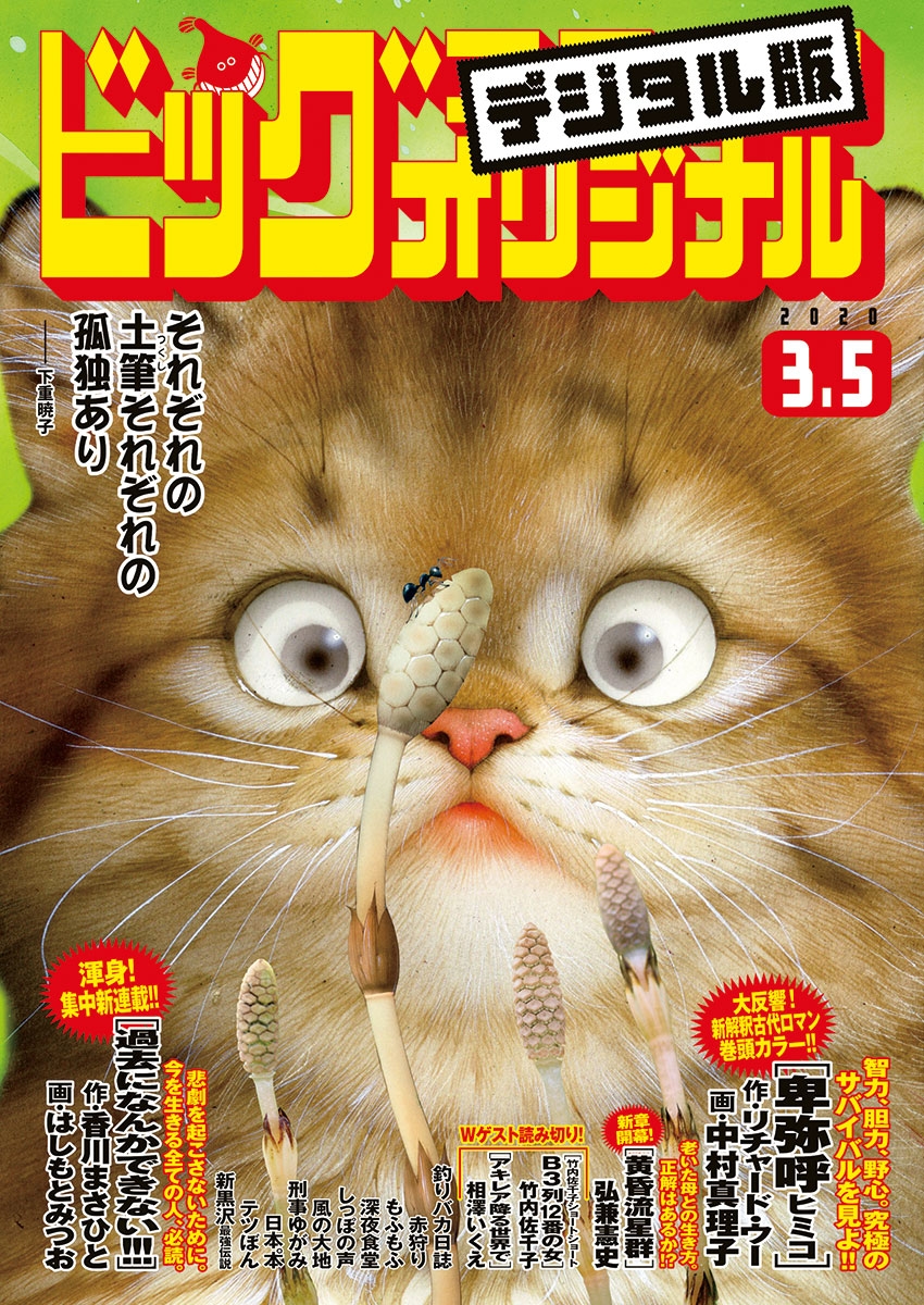 ビッグコミックオリジナル　2020年5号(2020年2月20日発売)