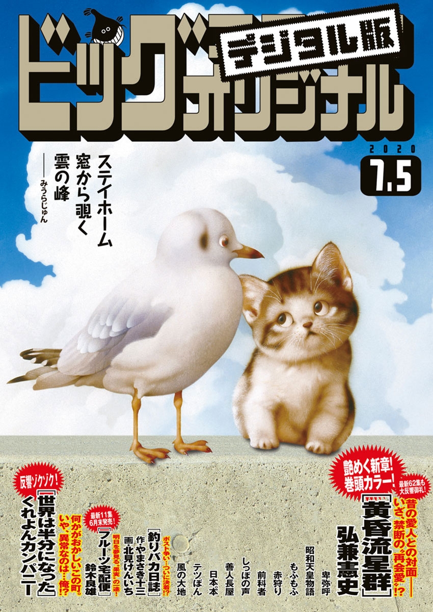 ビッグコミックオリジナル　2020年13号(2020年6月19日発売)