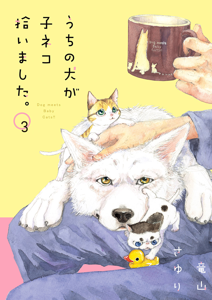 うちの犬が子ネコ拾いました 竜山さゆり 著 電子書籍で漫画を読むならコミック Jp