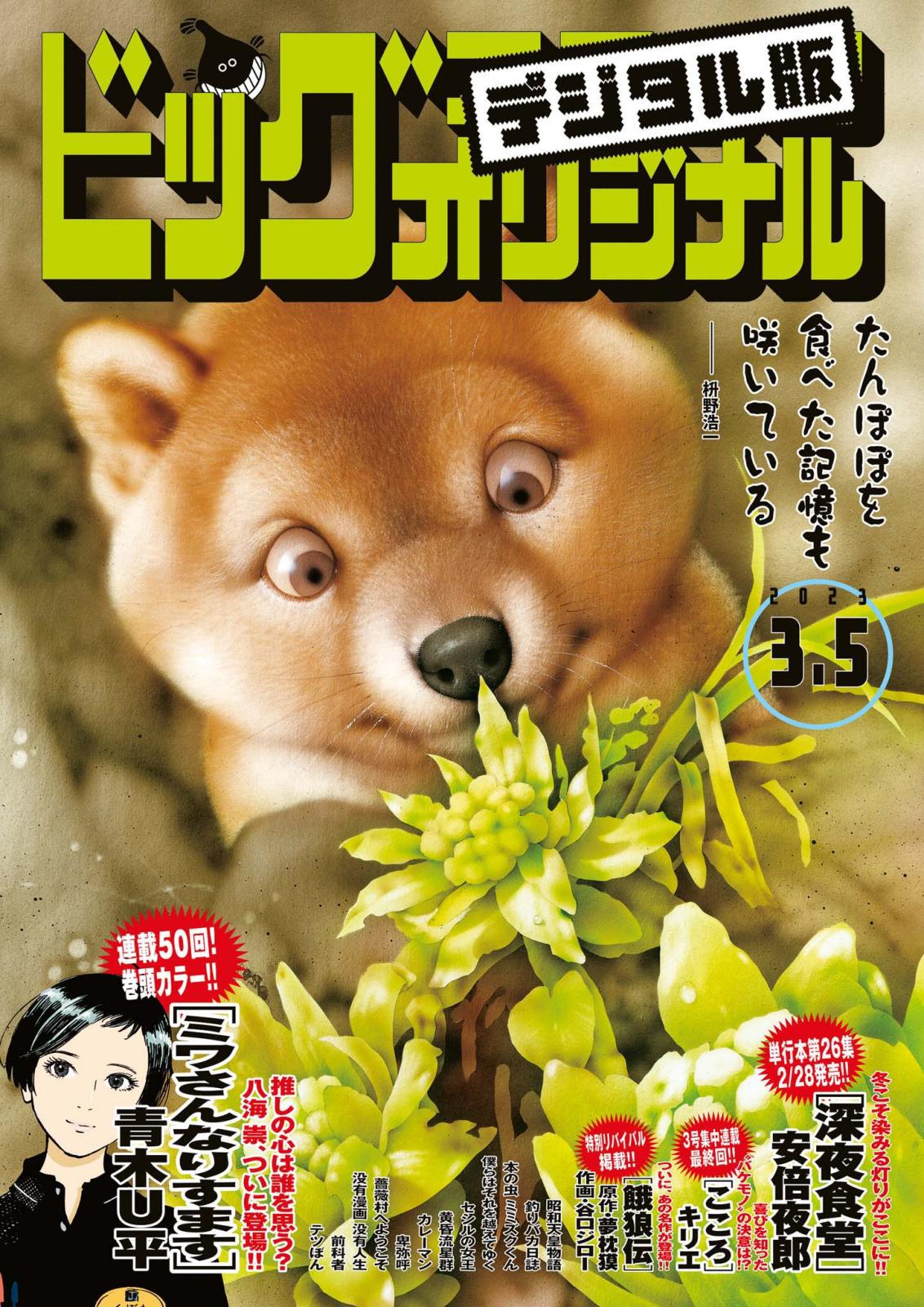 ビッグコミックオリジナル　2023年5号（2023年2月20日発売)