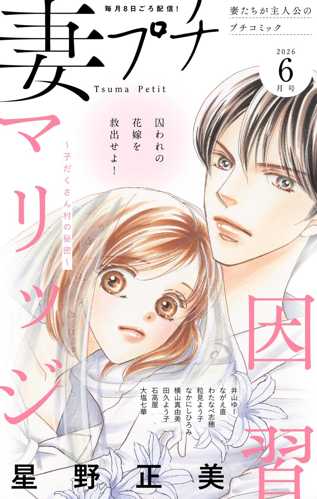 プチコミック 1996年3月号 結婚物語特集　さとうちほ花音掲載 妻プチ｜漫画・コミックを読むならmusic.jp