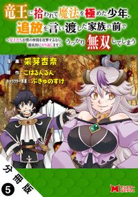 竜王に拾われて魔法を極めた少年、追放を言い渡した家族の前でうっかり無双してしまう～兄上たちが僕の仲間を攻撃するなら、徹底的にやり返します～（コミック） 分冊版