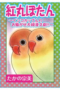 紅丸ぼたん～インコカップルのお騒がせ夫婦漫才劇!!～