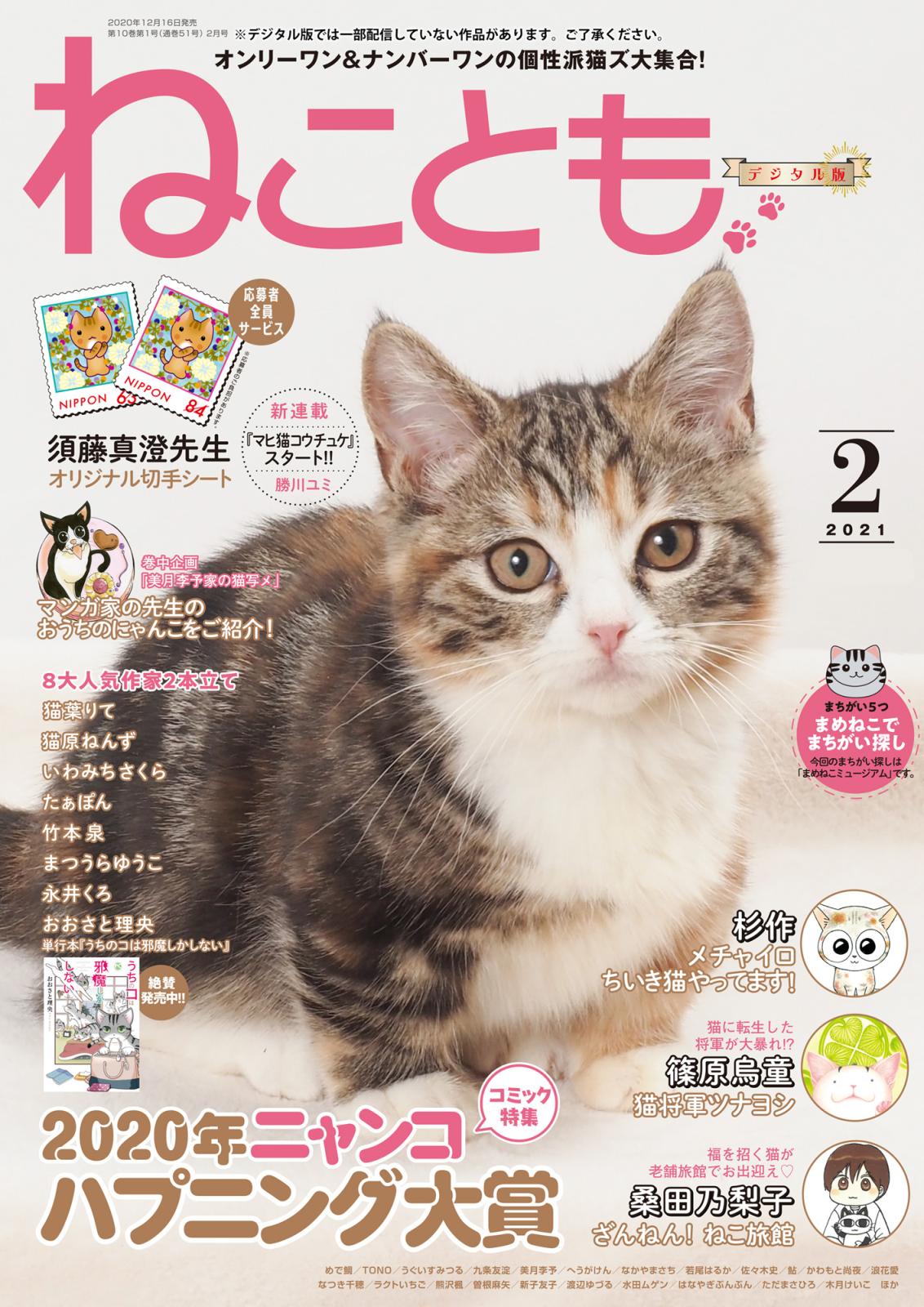 ねこともvol.71