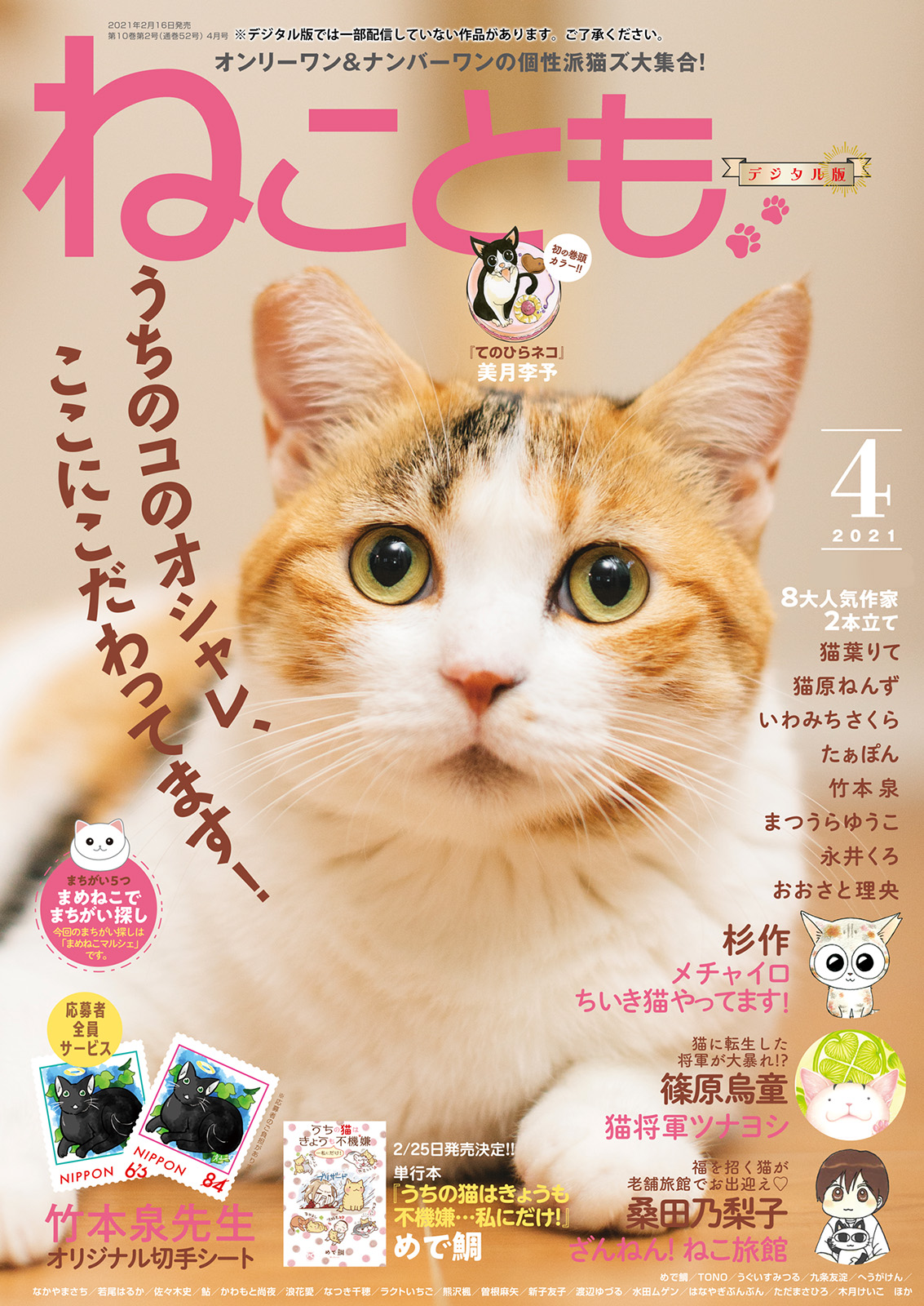 ねこともvol.72