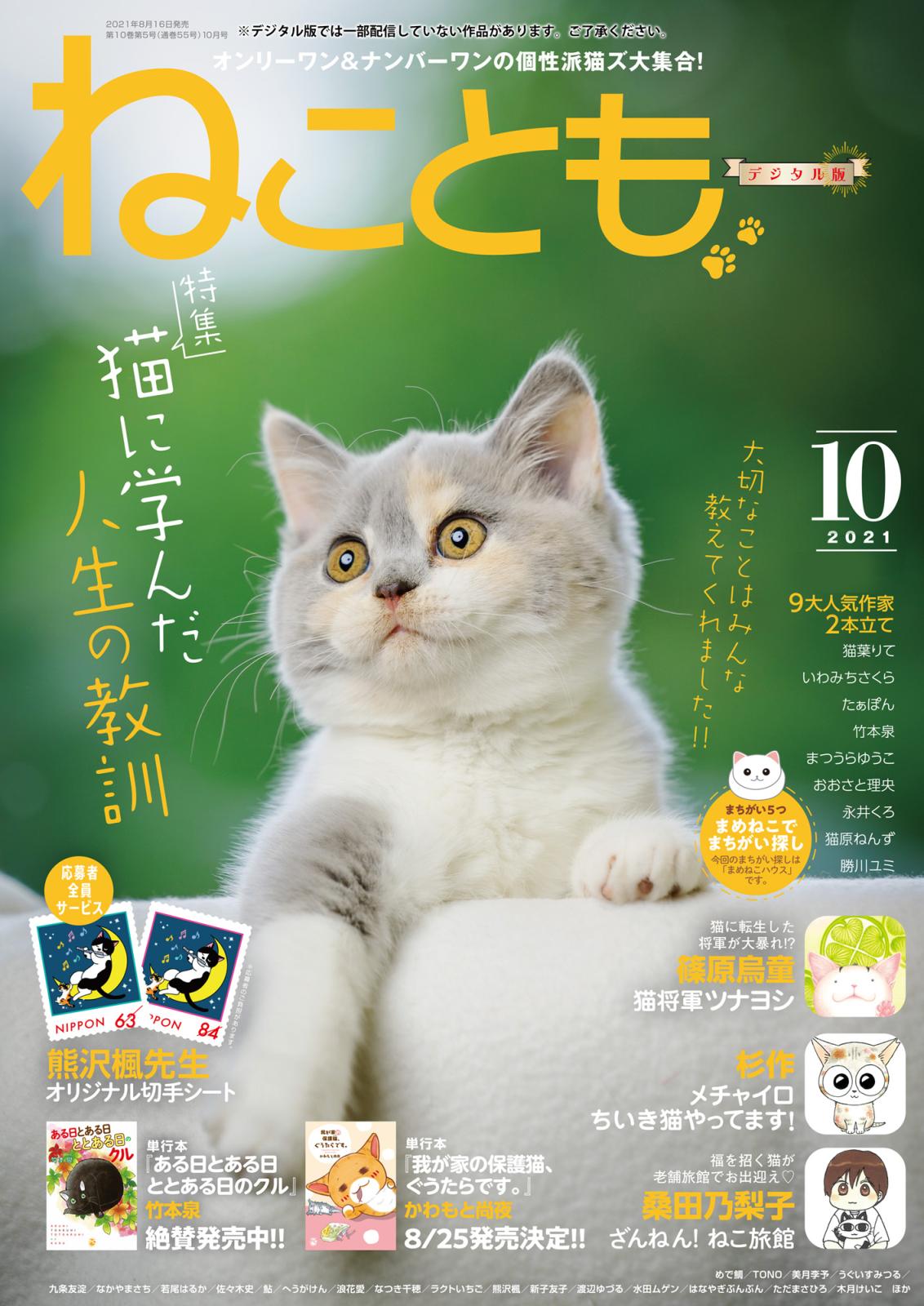 ねこともvol.75