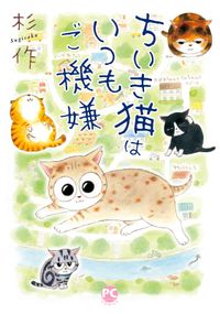 メチャイロちいき猫やってます！