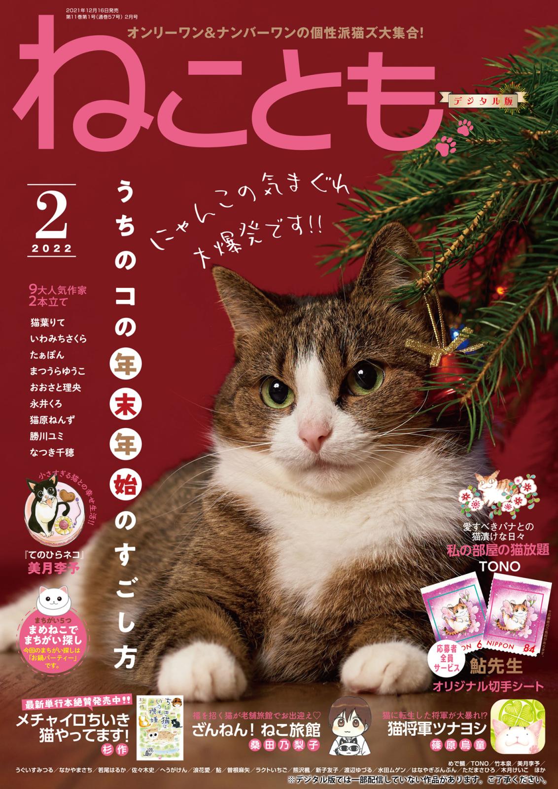 ねこともvol.77