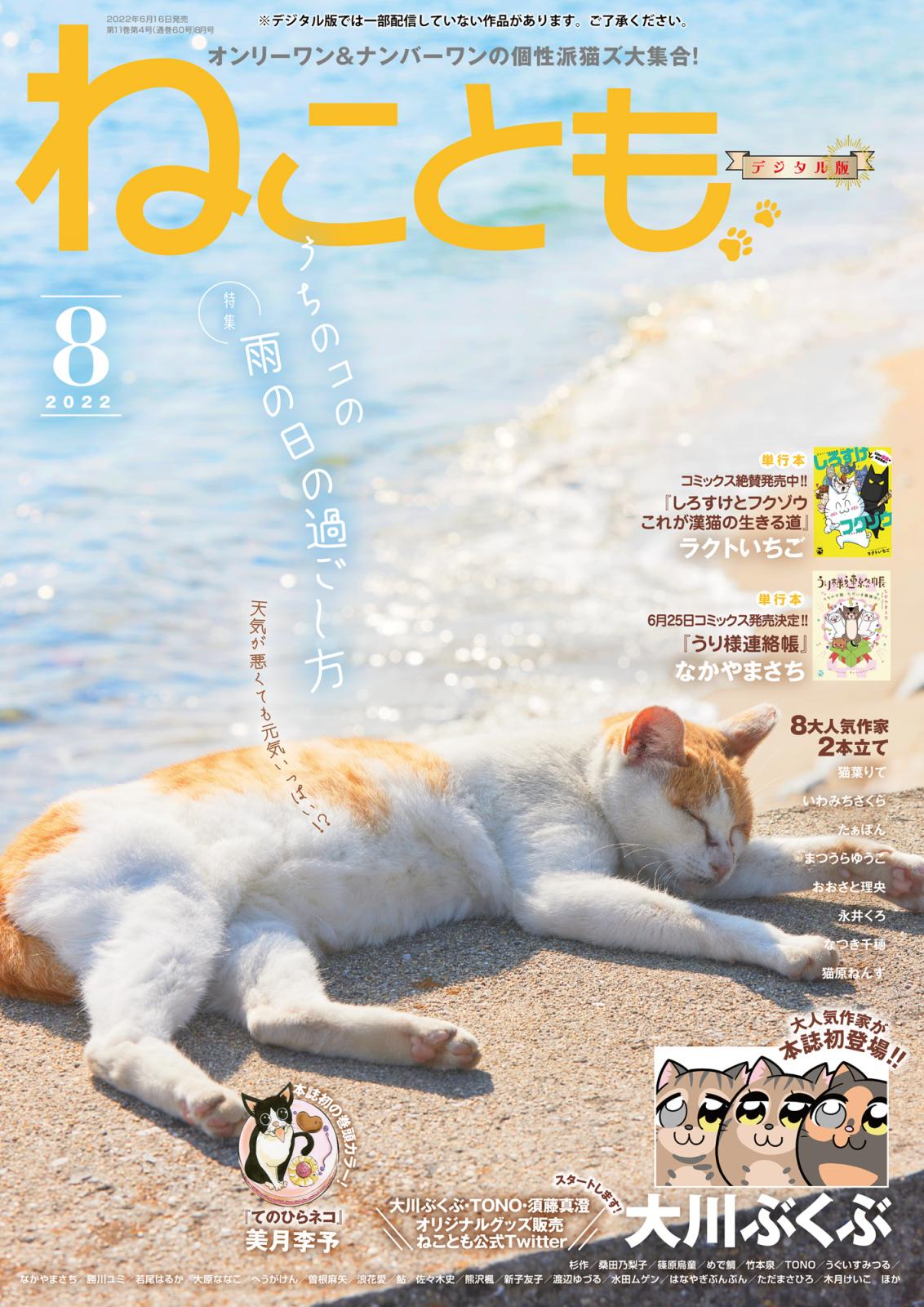 ねこともvol.80