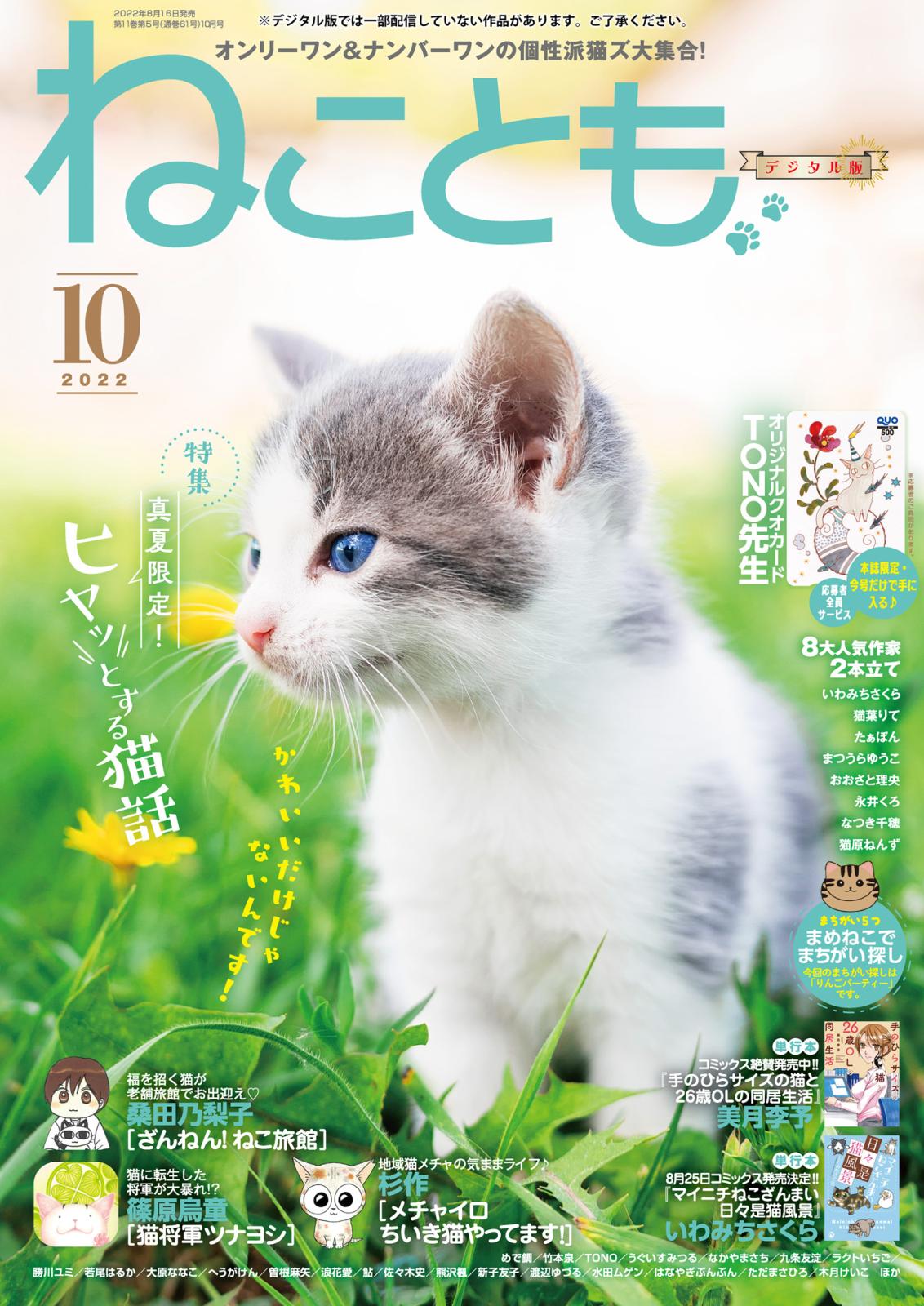 ねこともvol.81