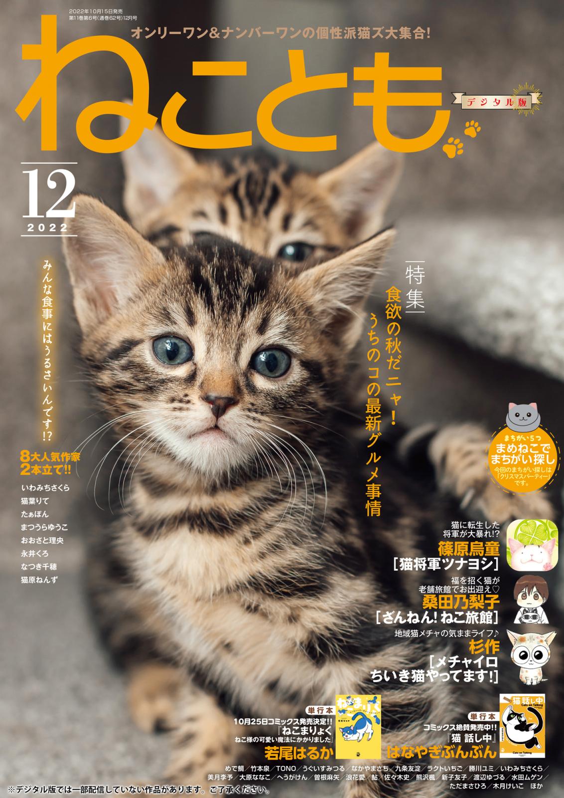 ねこともvol.82