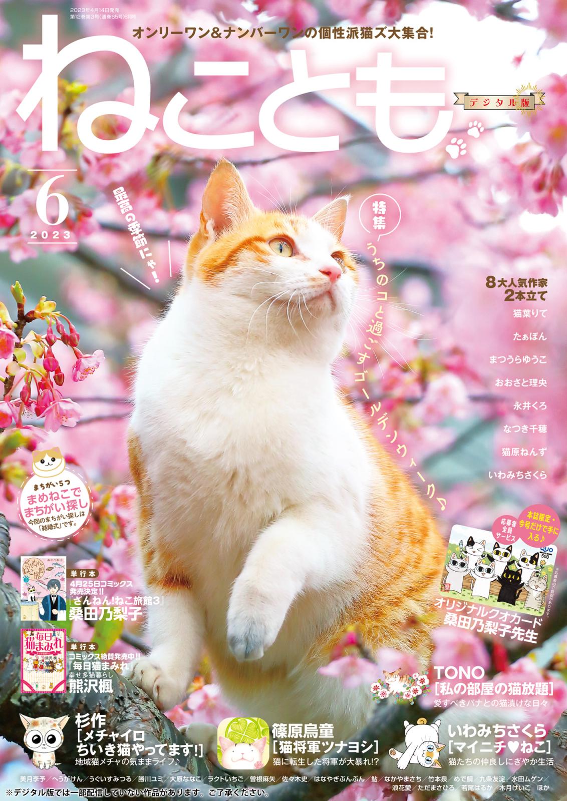 ねこともvol.85