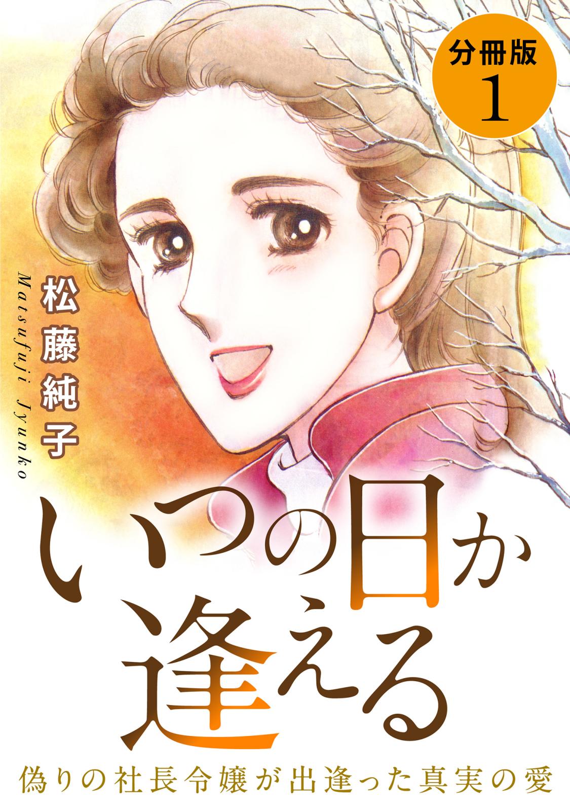 いつの日か逢える　偽りの社長令嬢が出逢った真実の愛　分冊版（1）