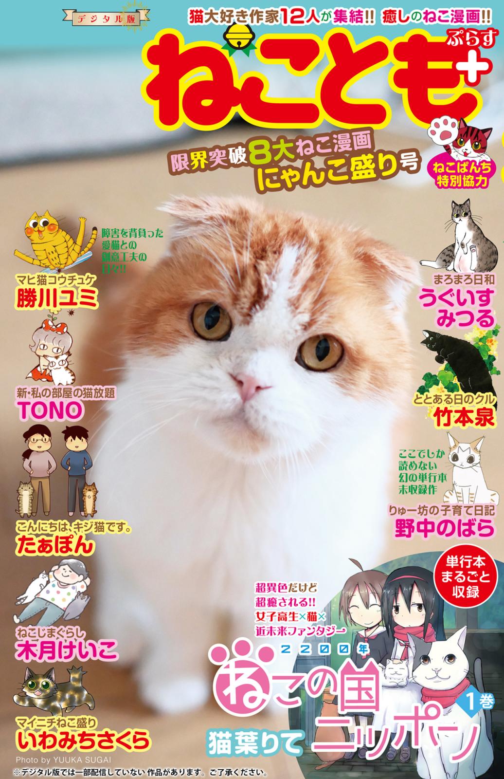 ねことも＋vol.3 限界突破8大ねこ漫画にゃんこ盛り号