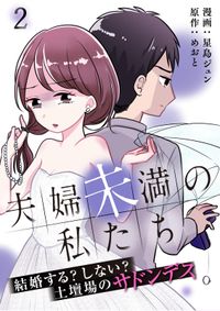 夫婦未満の私たち～結婚する？しない？土壇場のサドンデス