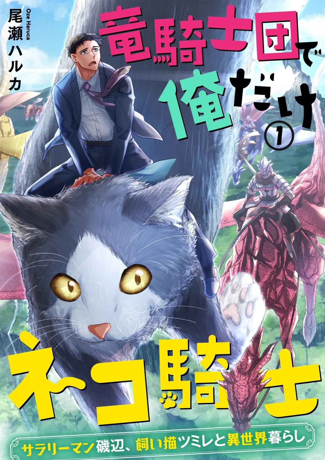 竜騎士団で俺だけネコ騎士～サラリーマン磯辺、飼い猫ツミレと異世界暮らし～（１）