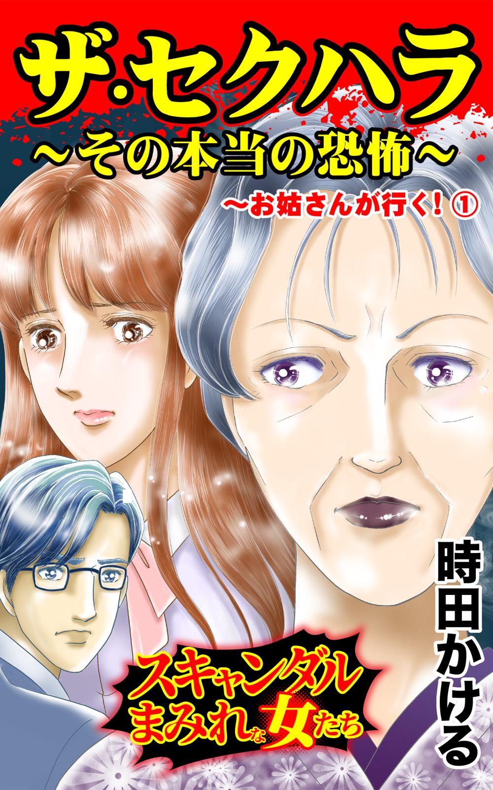 ザ・セクハラ～その本当の恐怖～お姑さんが行く！(1)～スキャンダルまみれな女たち