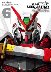 機動戦士ガンダムSEED ASTRAY Re: Master Edition