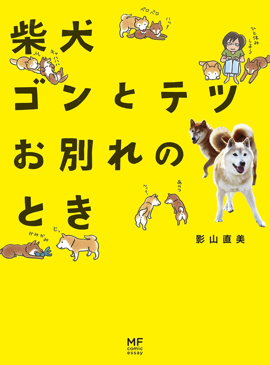 柴犬ゴンとテツお別れのとき