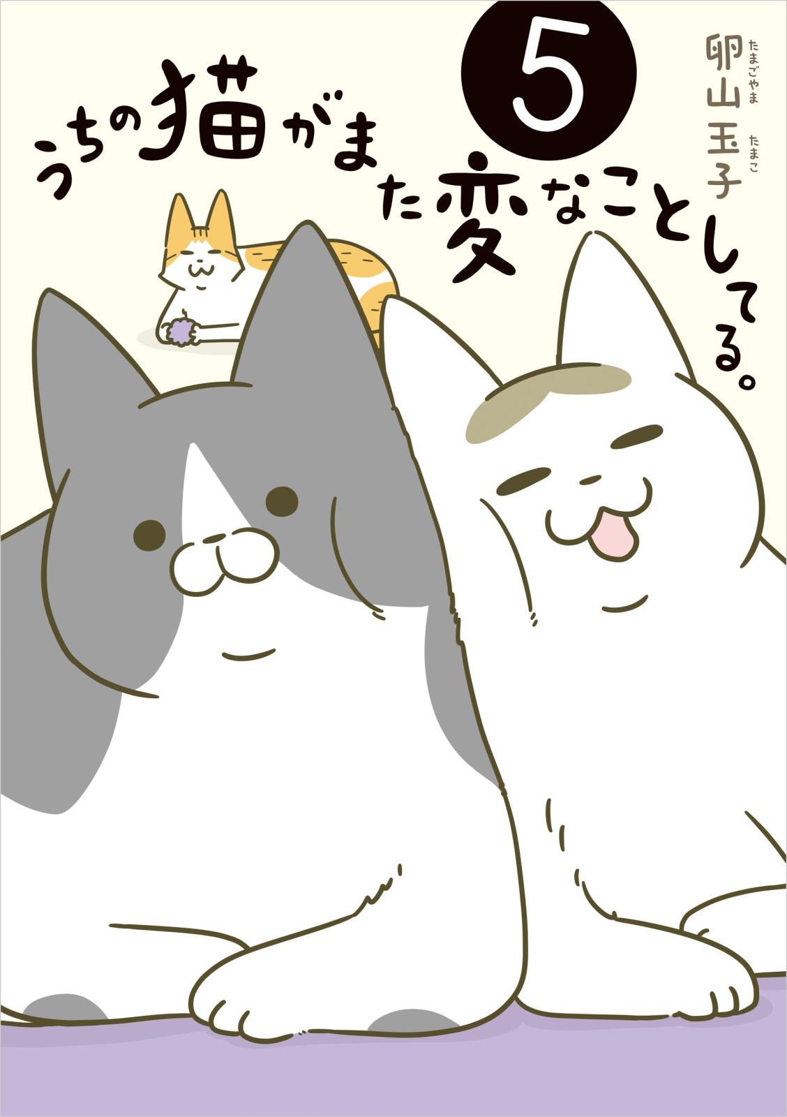 うちの猫がまた変なことしてる。５