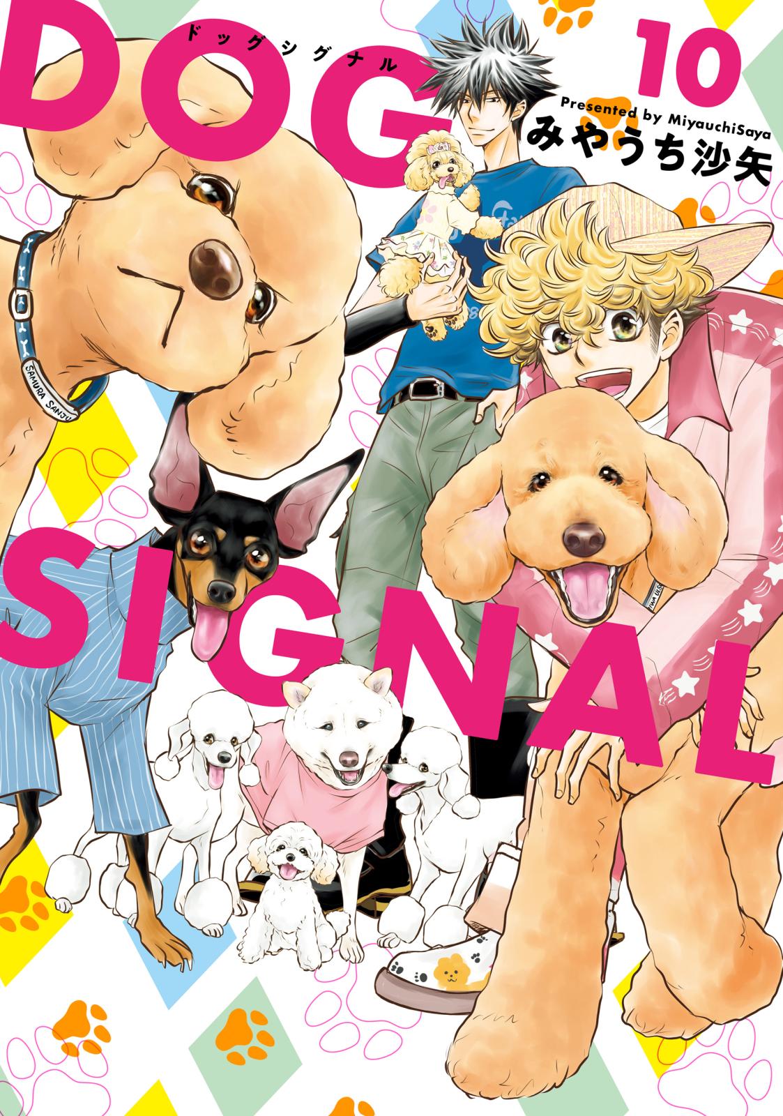 DOG　SIGNAL 10