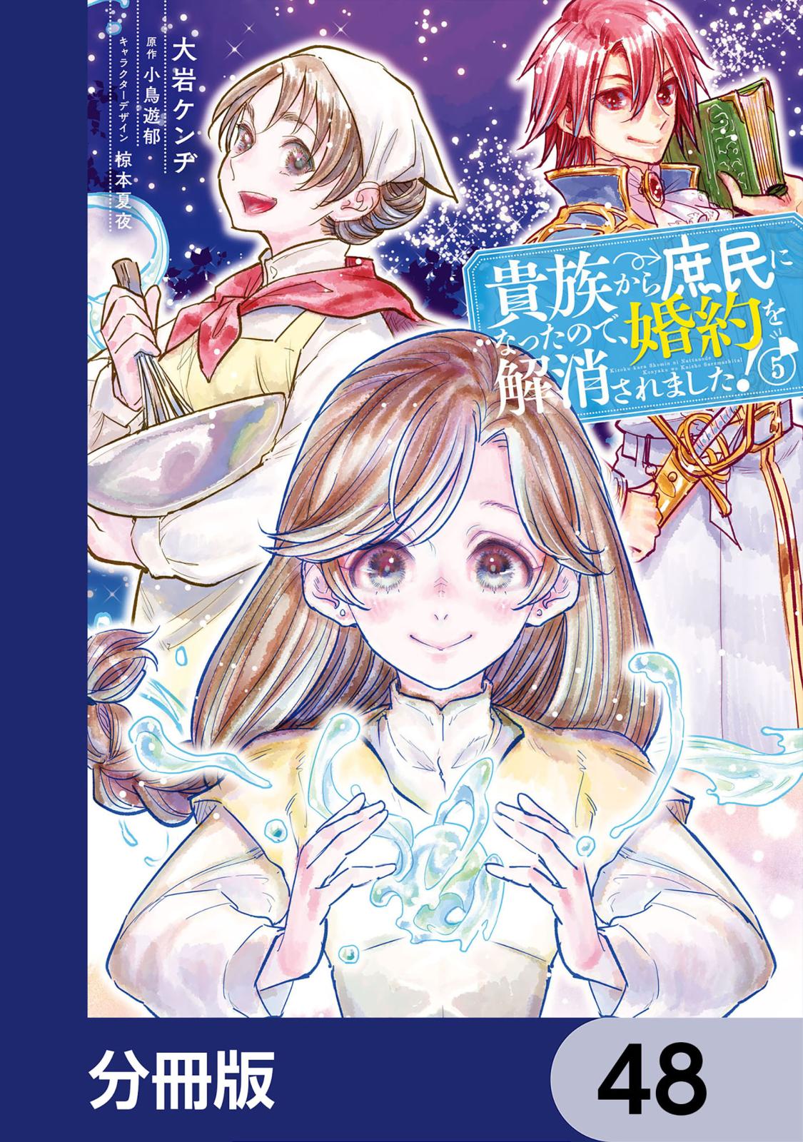 貴族から庶民になったので、婚約を解消されました！【分冊版】　48