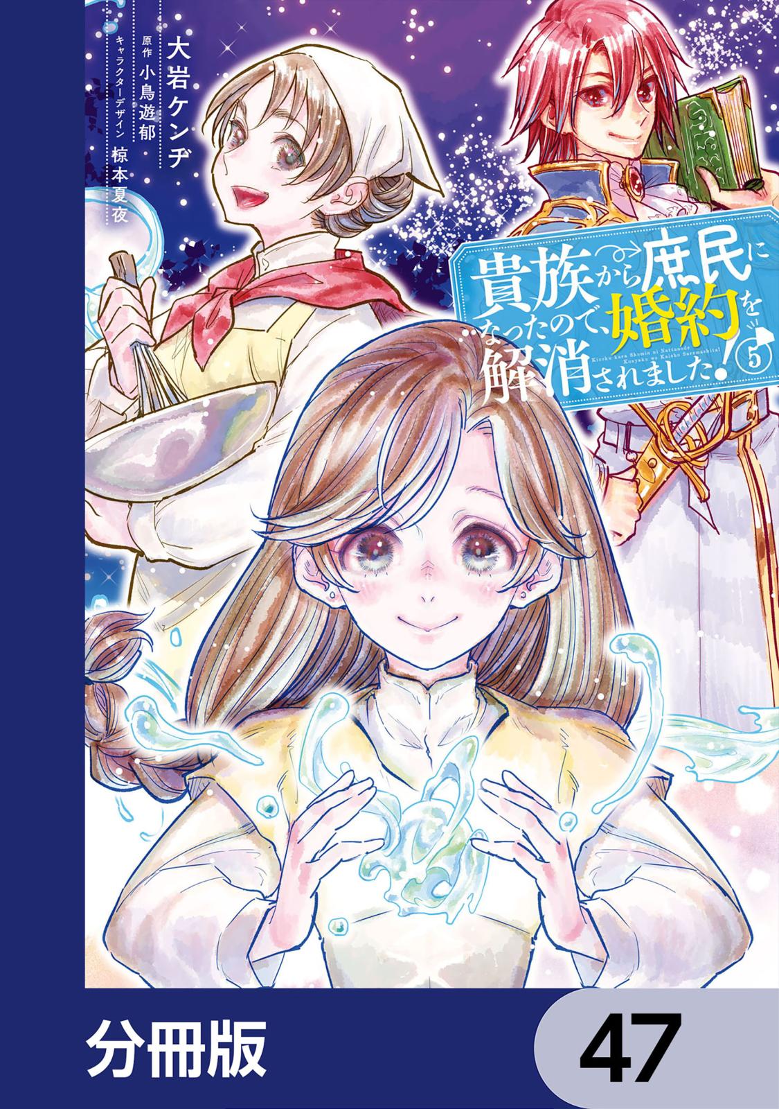 貴族から庶民になったので、婚約を解消されました！【分冊版】　47