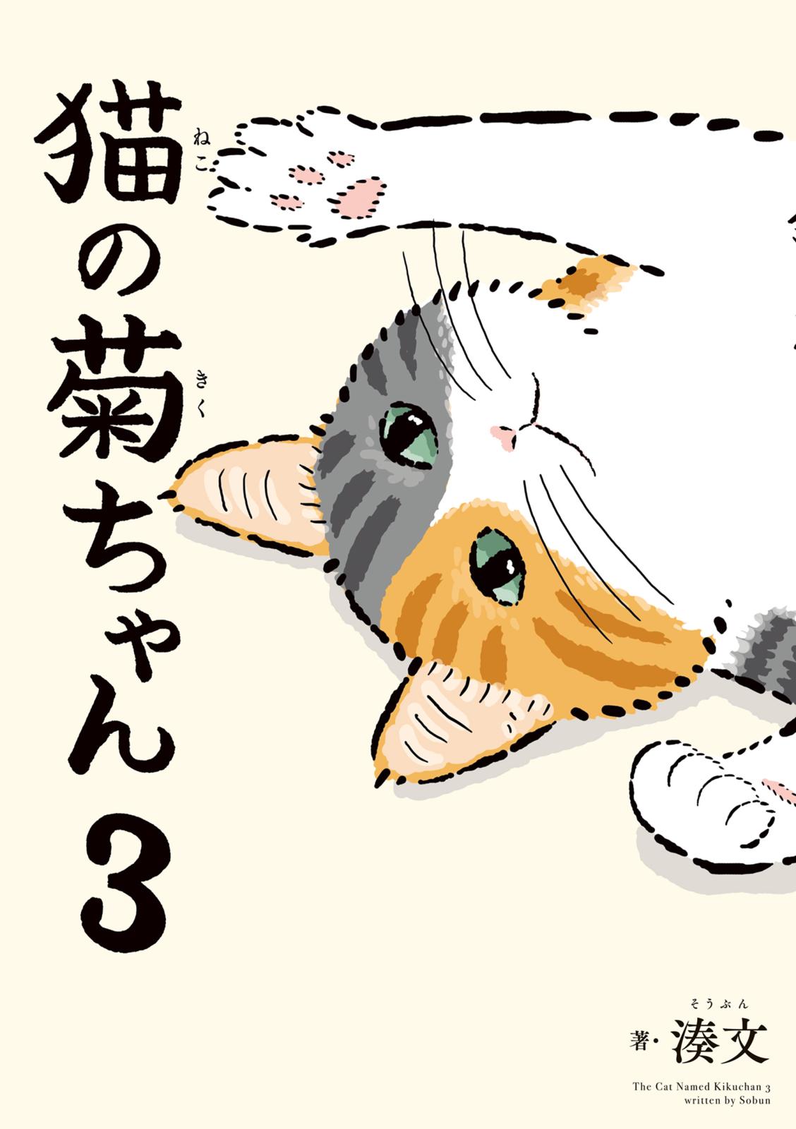 猫の菊ちゃん ３