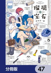 瑠璃の宝石【分冊版】