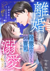 離婚したはずなのに、冷徹エリート御曹司に容赦なく溺愛されています