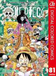 ONE PIECE カラー版 81