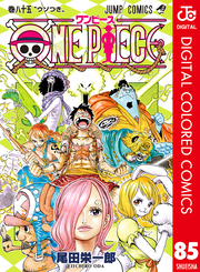 ONE PIECE カラー版 85