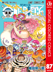 ONE PIECE カラー版 87