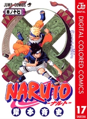 NARUTO―ナルト― カラー版 17