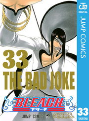 BLEACH モノクロ版 33