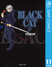 BLACK CAT 11