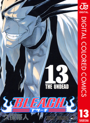 BLEACH カラー版 13