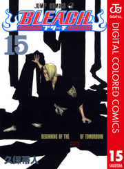 BLEACH カラー版 15