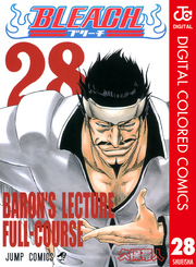 BLEACH カラー版 28