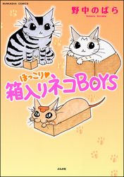 ほっこり・箱入りネコＢＯＹＳ