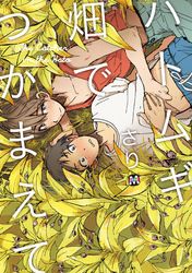 ドルクエ はらまさき 電子書籍で漫画 マンガ を読むならコミック Jp