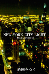 NEW YORK CITY LIGHT