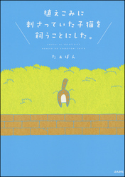 植えこみに刺さっていた子猫を飼うことにした。