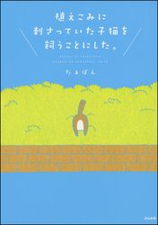 植えこみに刺さっていた子猫を飼うことにした。