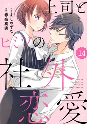 comic Berry’s上司とヒミツの社外恋愛14巻